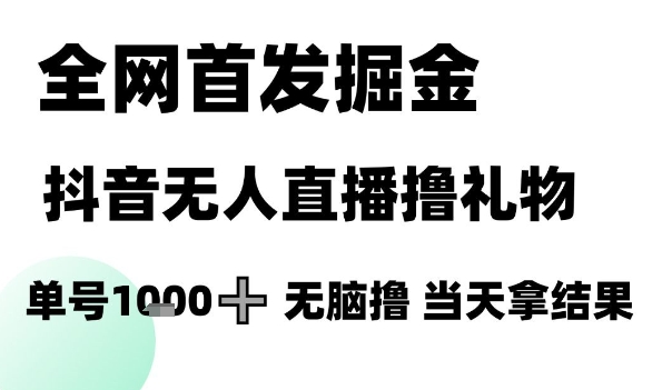 全网首发掘金抖音无人直播撸礼物，单号1k +无脑撸，当天拿结果【揭秘】-一百创业网