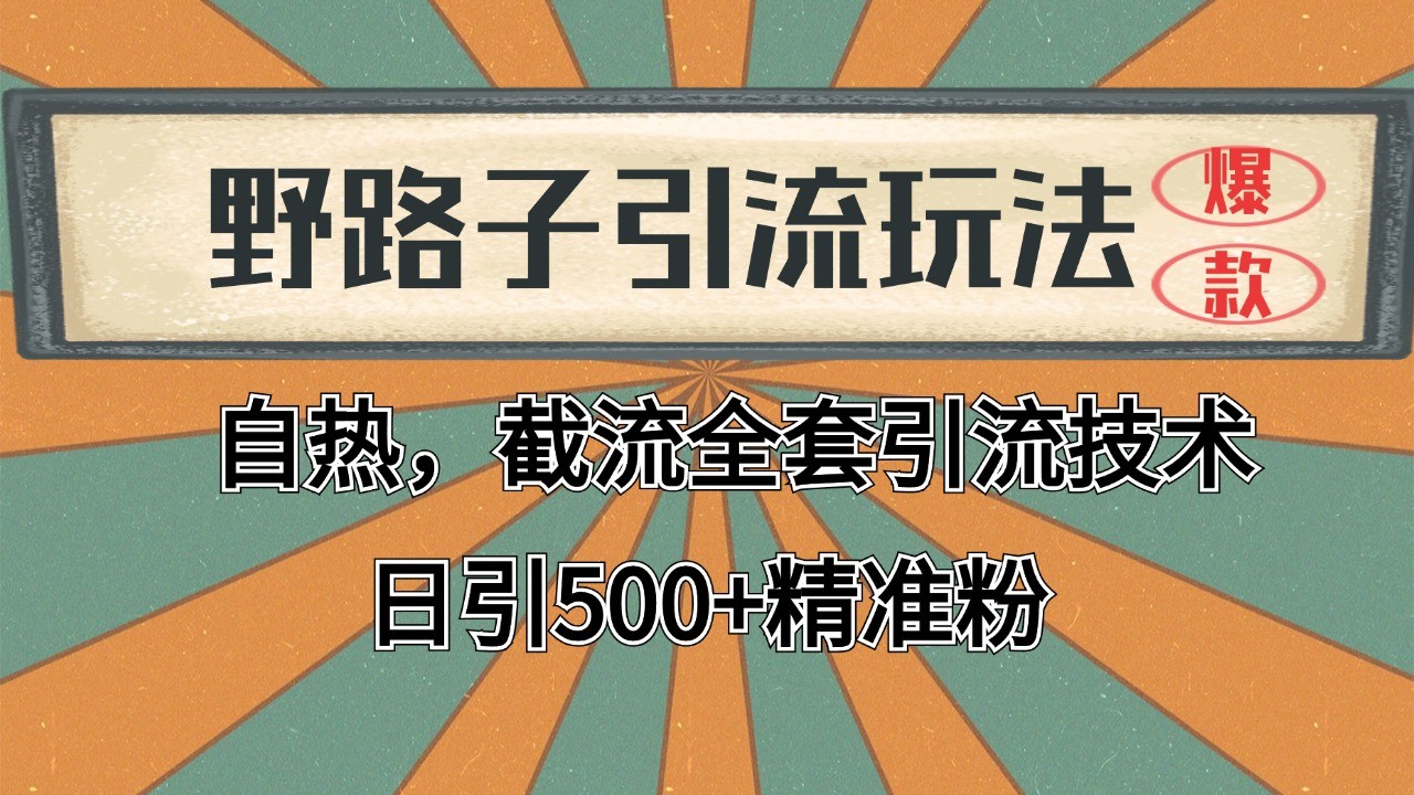2024首发野路子引流玩法截流自热全平台打法，全自动引流【日引2000+精准客户】-一百创业网