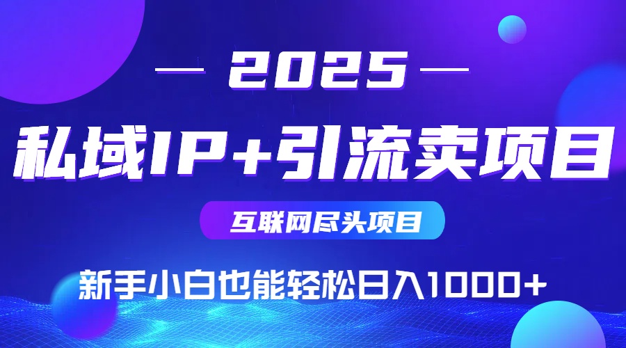 2025网创尽头项目，私域IP+引流，新手小白也能在家日入1000+-一百创业网