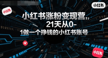 小红书涨粉变现营，21天从0-1做一个挣钱的小红书账号-一百创业网
