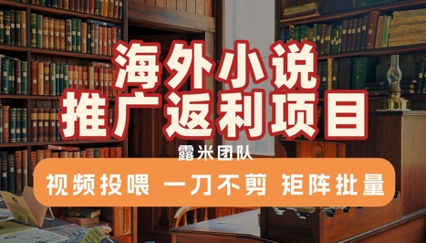 海外小说推广返利项目，视频投喂， 一刀不剪，矩阵批量-一百创业网