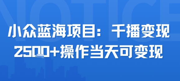 小众蓝海项目，千播变现2.5k+操作当天可变现-一百创业网