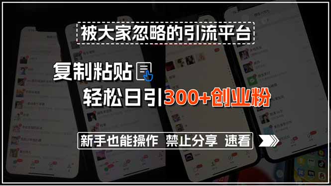 被大家忽略的引流平台，复制粘贴轻松日引300+创业粉，新手也能操作，禁…-一百创业网