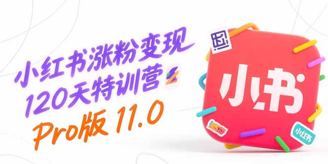 小红书涨粉变现120天特训营Pro版11.0：从0到1掌握平台运营,内容制作和变现-一百创业网