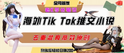 海外tiktok小说推文暴力项目，高停留率，高转化率，上手后一天搞顿饭钱不是问题-一百创业网