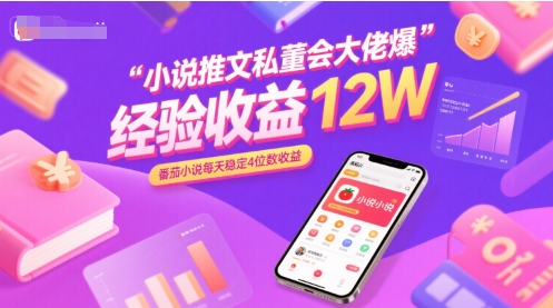 小说推文私董会大佬爆单经验分享收益12W，番茄小说每天稳定4位数收益-一百创业网