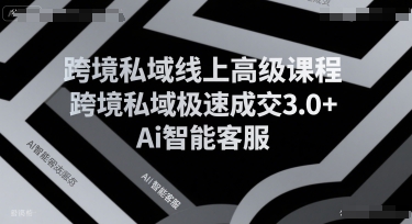 跨境私域线上高级课程，跨境私域极速成交3.0+Ai智能客服-一百创业网