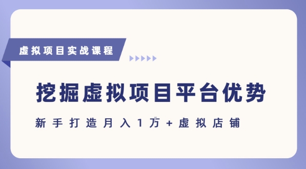 抓住虚拟项目各平台优势，新手轻松月入1W+(给出具体建议)-一百创业网