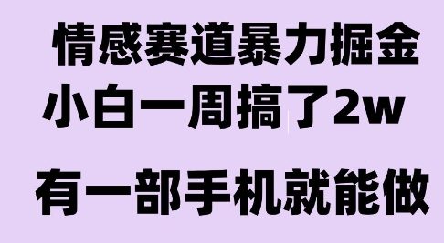 情感暴力掘金项目，新人操作一周挣了2W，长期稳定小白可做【揭秘】-一百创业网