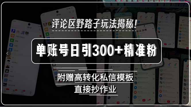 评论区野路子玩法揭秘！单账号日引300+精准粉，附赠高转化私信模板，直…-一百创业网