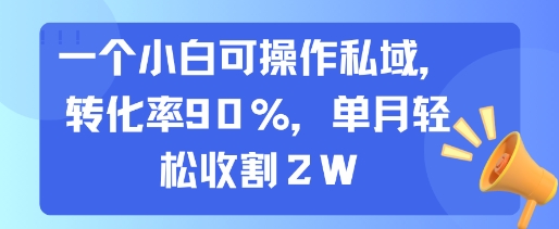 一个小白可操作私域，转化率90%，单月轻松收割2W-一百创业网